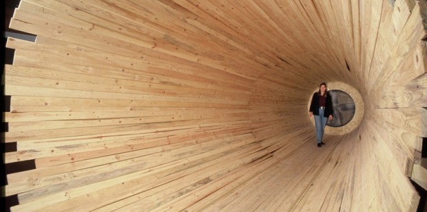 Cildo Meireles 'Entrevendo',