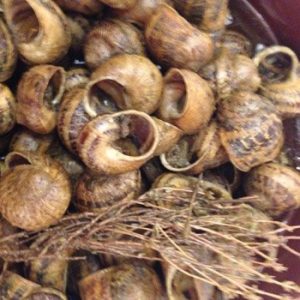 Restaurant Estevet - Caracoles de L'Estevet