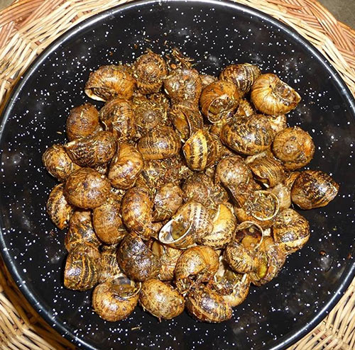 Cargols de Ca L'Estevet una imatge d'un plat de cargols típics de Ca L'Estevet, restaurant de cuina catalana a Barcelona