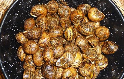 Escargots L&amp;#39;Estevet au sel, poivre et thym au Restaurant Ca L&amp;#39;Estevet, l&amp;#39;un des plats emblématiques de la cuisine catalane traditionnelle à Barcelone